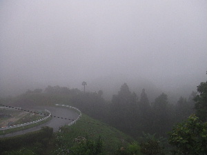 a0054240_141443.jpg