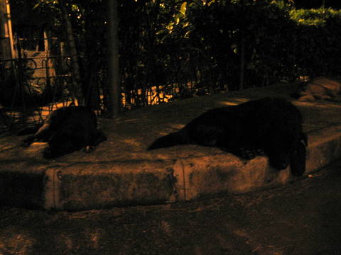 e0018143_39123.jpg