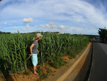 d0065247_20463438.jpg
