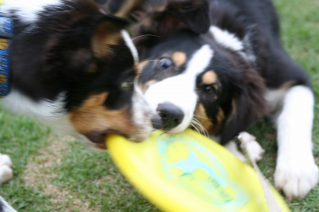 e0111449_0162633.jpg