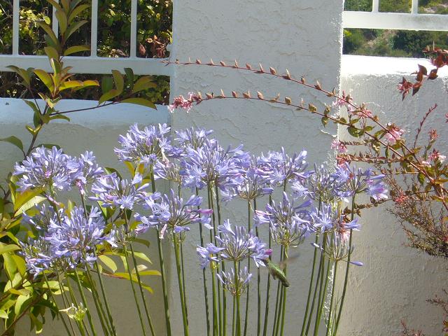 f0062649_3513830.jpg