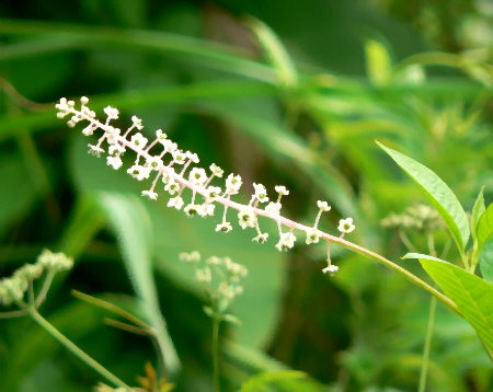 d0091754_44237.jpg