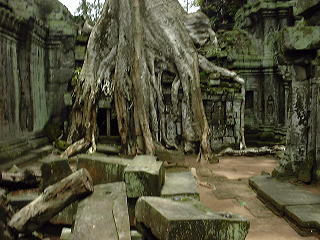 f0140054_20504767.jpg