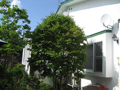 a0075455_1557191.jpg