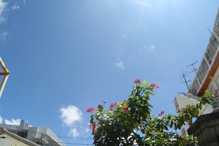 b0100662_1429527.jpg