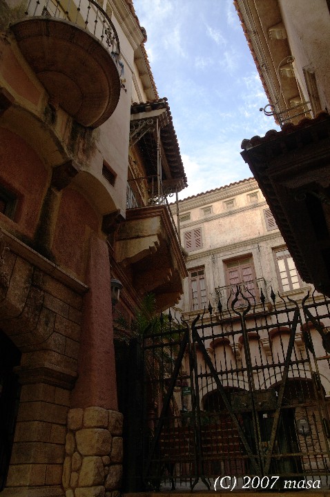 f0063363_013589.jpg