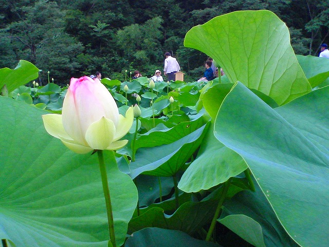 f0090964_11301039.jpg