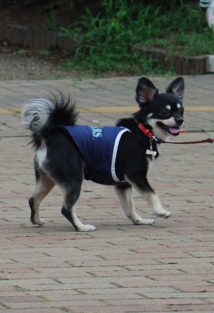 f0065768_1445391.jpg
