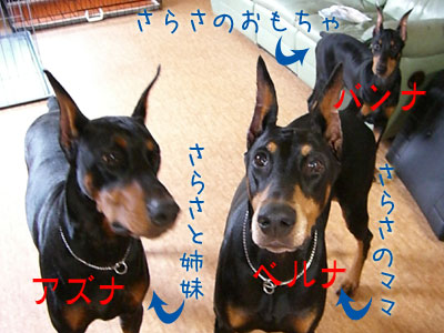 f0025769_19294548.jpg