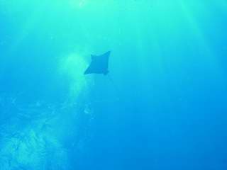 c0110871_1829150.jpg