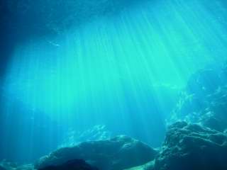 c0110871_18292984.jpg
