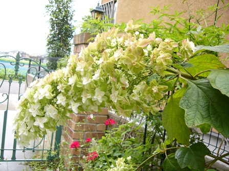 e0025872_1824182.jpg