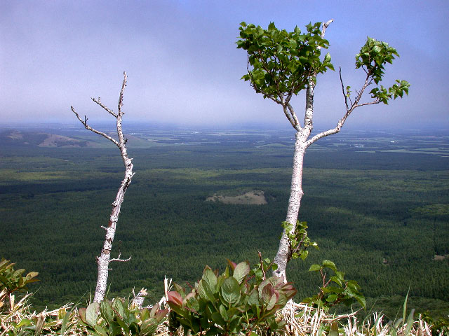 e0100772_22385170.jpg