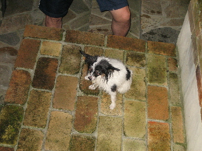d0116578_23201144.jpg