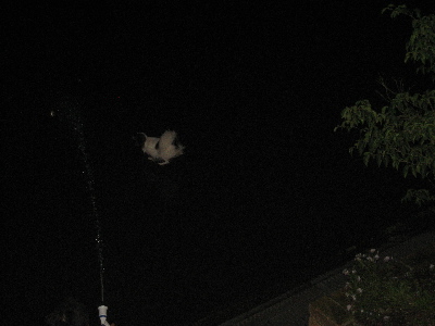 d0116578_23265970.jpg