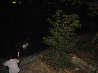 d0116578_2375995.jpg