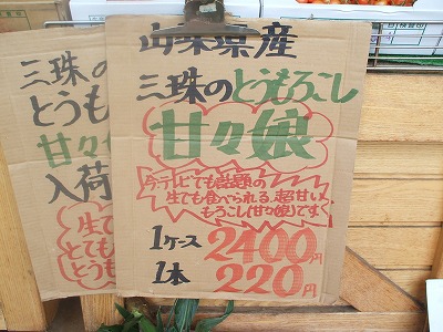 c0092983_16552779.jpg