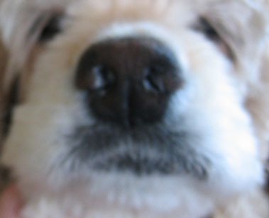 e0125894_23385696.jpg