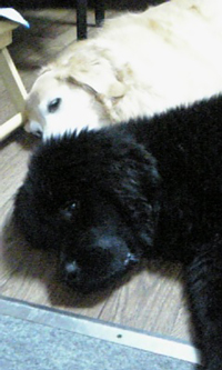 e0005603_11373225.jpg