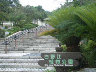 b0061107_1658042.jpg