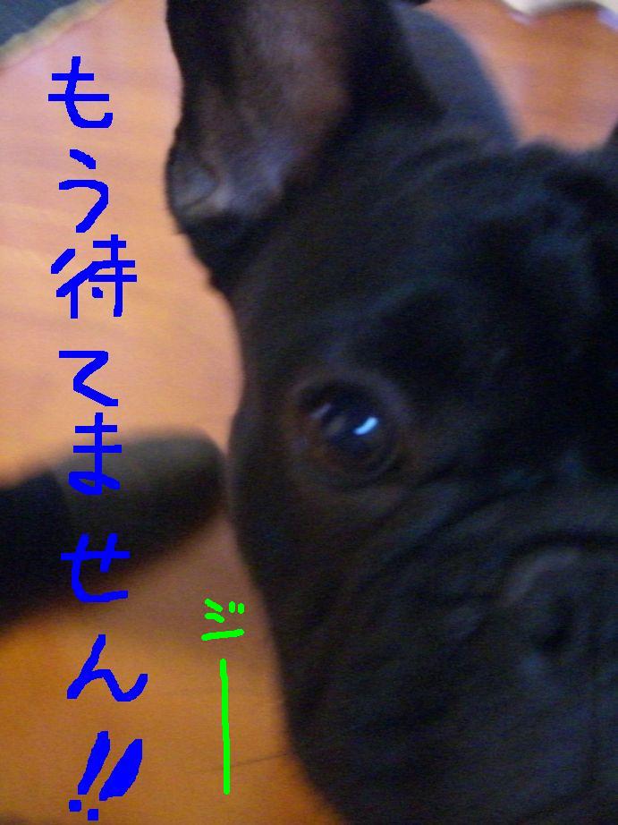 c0113109_20311496.jpg