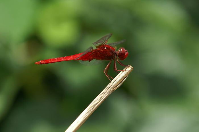 d0089024_046579.jpg