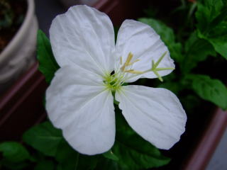 f0147025_16255660.jpg