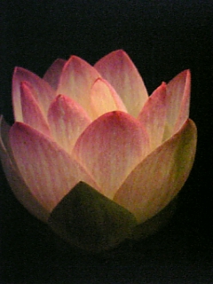 e0016828_2146473.jpg