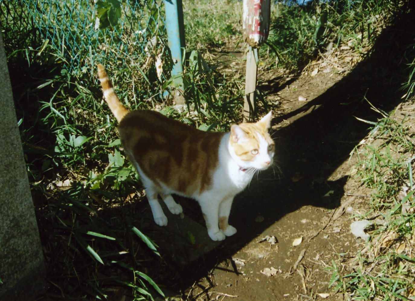 e0041329_946483.jpg