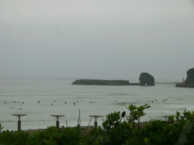 d0018131_684220.jpg