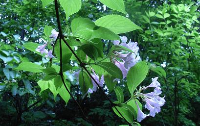 f0118332_0164787.jpg