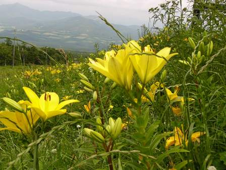 c0122445_4583032.jpg