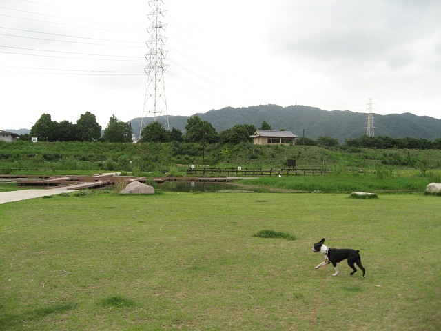 e0126046_23574977.jpg