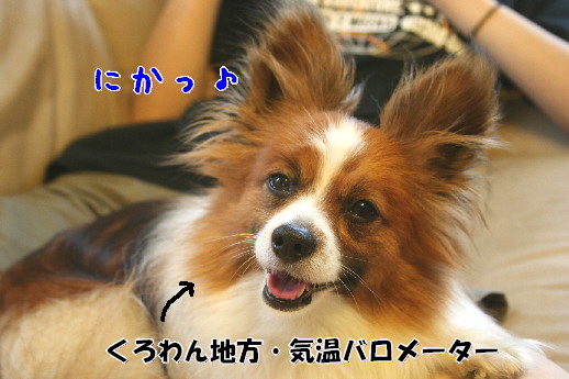 d0013149_03218.jpg