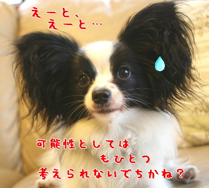 d0013149_053181.jpg