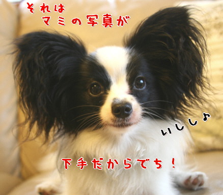 d0013149_055205.jpg