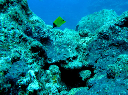 b0062363_191855100.jpg