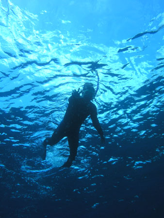 b0062363_19281396.jpg