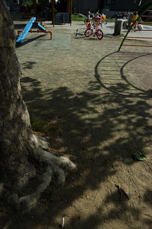 c0084666_22343368.jpg