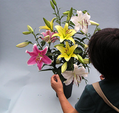 e0097770_21571831.jpg