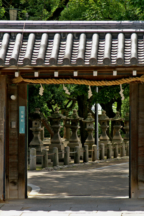 e0002371_815543.jpg