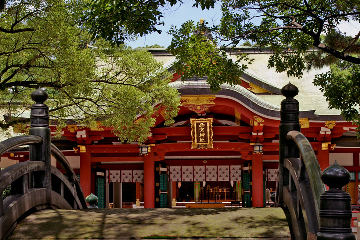 e0002371_826011.jpg