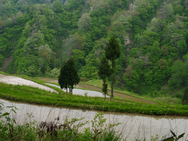 a0025576_22401485.jpg