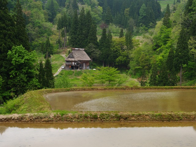 a0025576_2240347.jpg