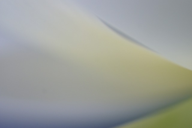 d0079278_20531864.jpg