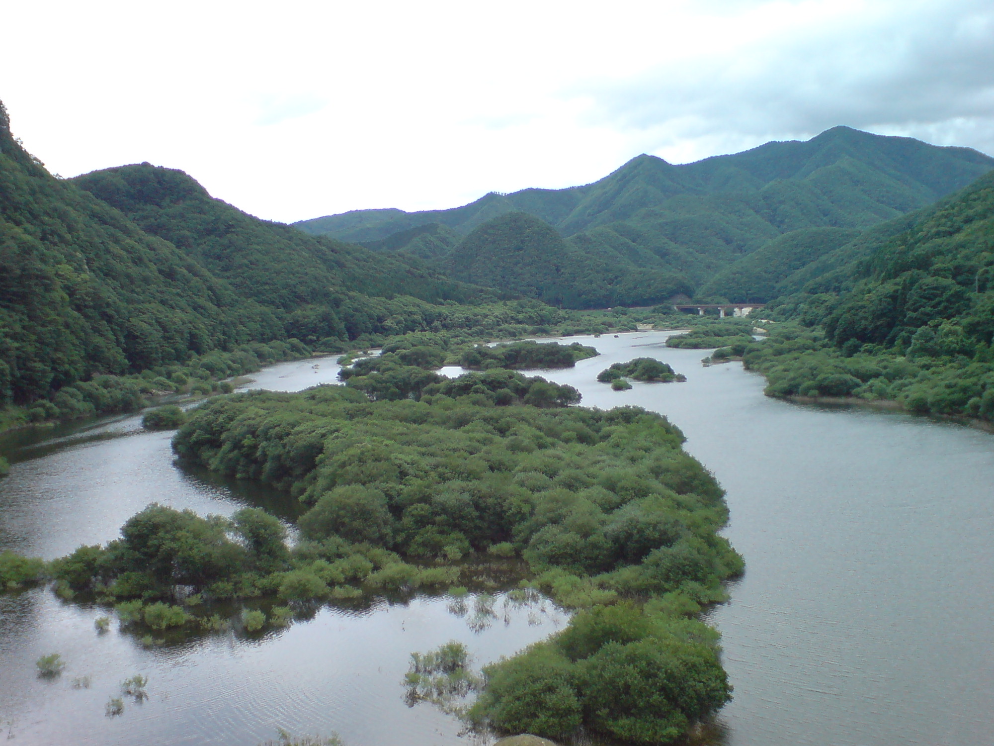 f0137483_7272293.jpg