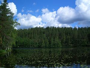 f0069890_234878.jpg