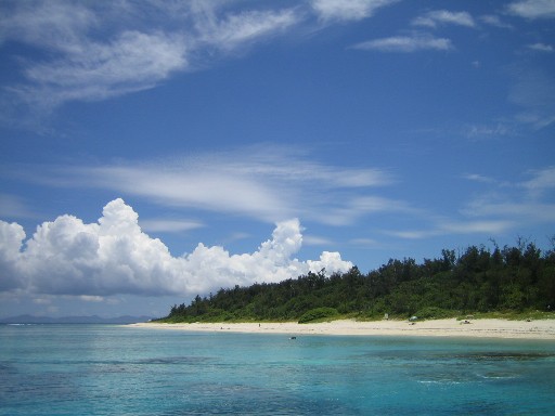 c0000816_10362759.jpg