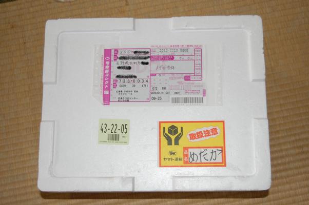f0137616_22445423.jpg