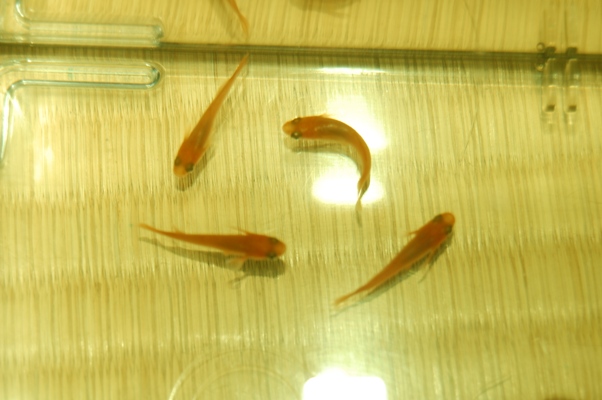 f0137616_2395912.jpg